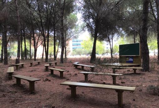 Los bancos y la pizarra que han puesto para dar clases al aire libre