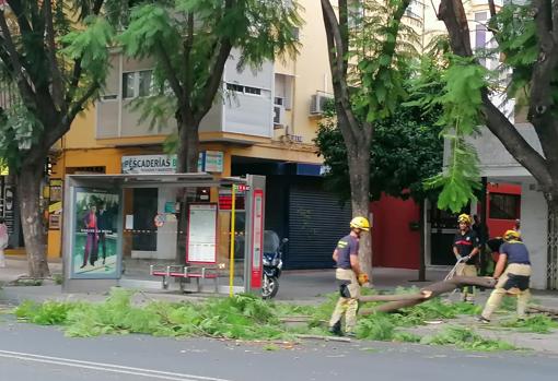 Los bomberos actúan en la calle López de Gomara