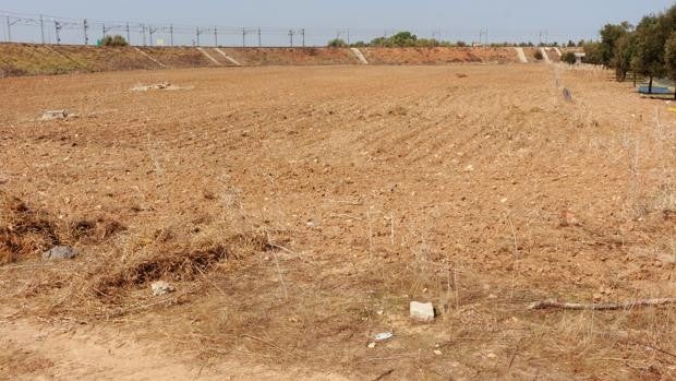 La Universidad Pablo de Olavide construirá una planta fotovoltaica para autoabastecerse