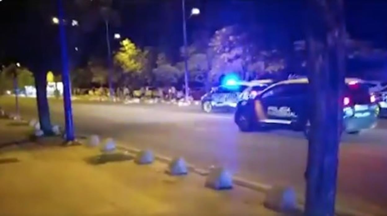 Los coches de la Policía con los que se desalojó a las personas que hacían botellona en Sevilla