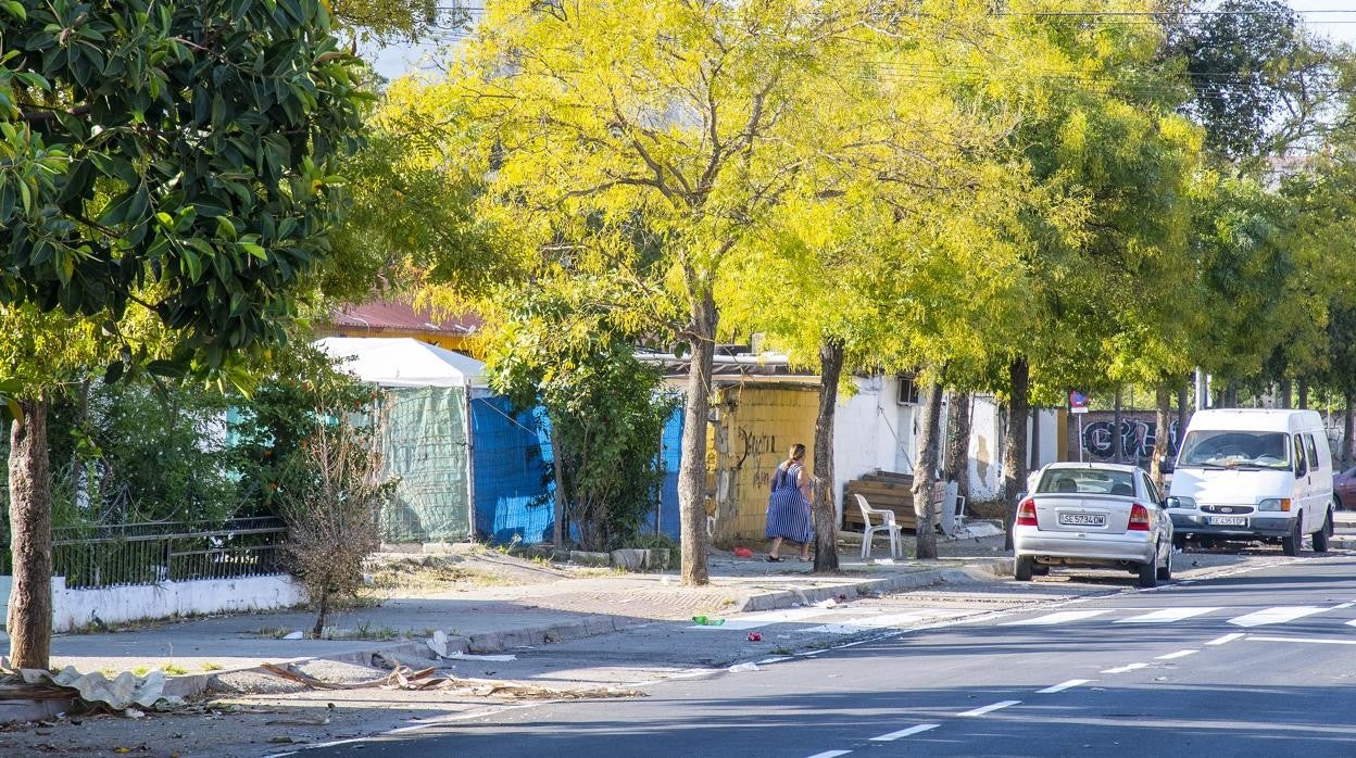 Infraviviendas de la calle Reina de los Ángeles de Sevilla