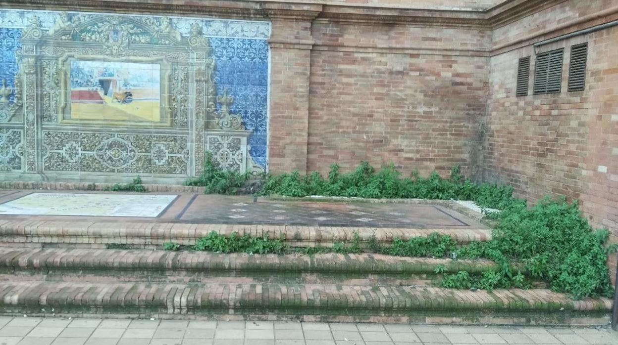 Deterioro de uno de los rincones de la Plaza de España, plagado de maleza