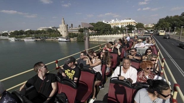 El Ayuntamiento de Sevilla sacará a concurso la autorización para los autobuses turísticos