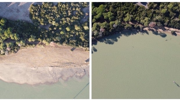 El litoral de Doñana se regenera con las arenas del dragado del Puerto de Sevilla