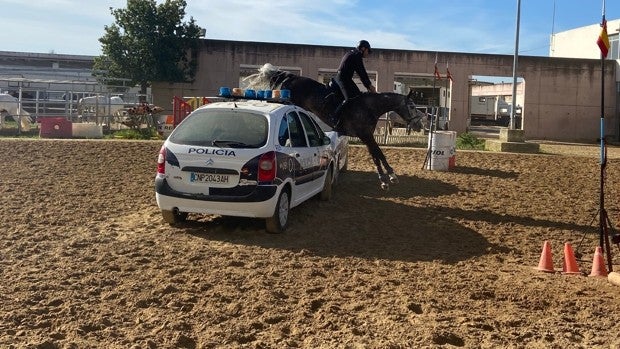 Exhibición de la unidad de caballería de la Policía ante la Guardia Nacional de Portugal