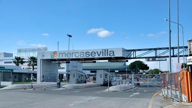 Condenan a un prejubilado del ERE de Mercasevilla a devolver casi 35.000 euros