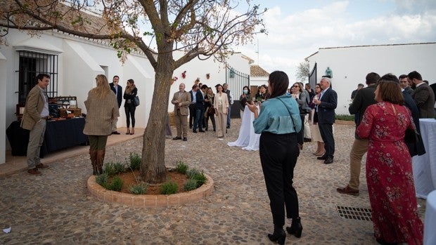 El cortijo de la Motilla, propiedad de los Alba, se apunta al turismo de lujo