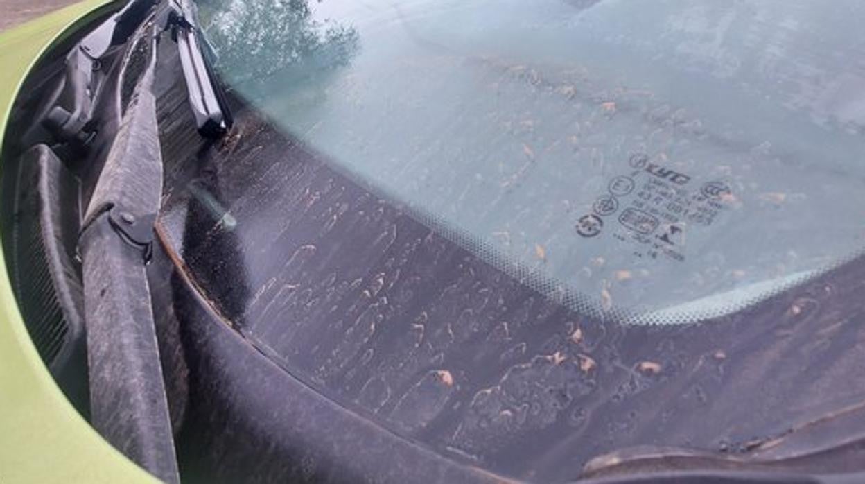 Un coche, cubierto de barrro tras la lluvia de polvo caída en Sevilla