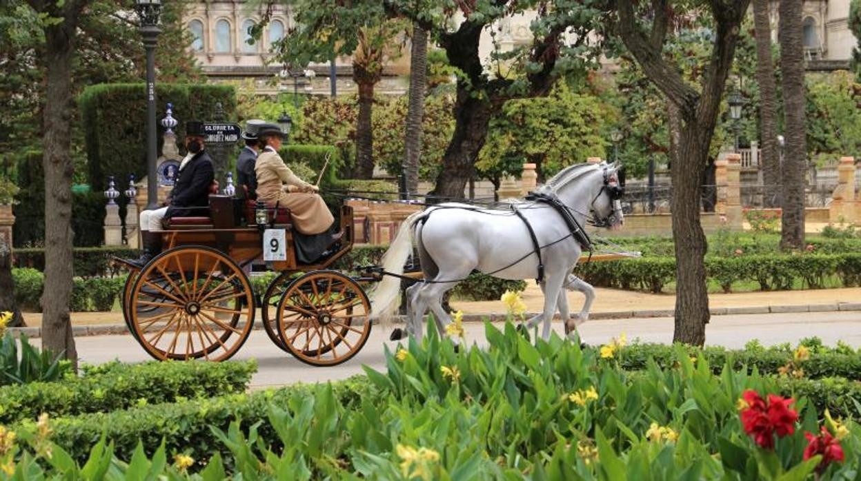 Un coche de caballos pasea por el parque de María Luisa