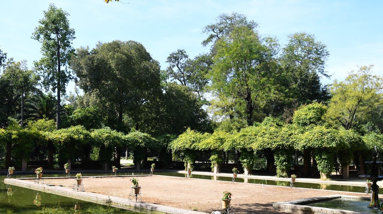 Algunos de estos encuentros sexuales se produjeron en el parque de María Luisa