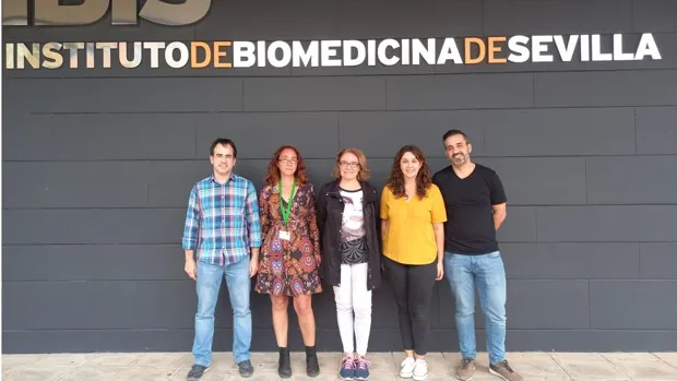 Sevilla, con los Hospitales Virgen del Rocío y Macarena a la cabeza, lidera los proyectos andaluces de investigación en Covid