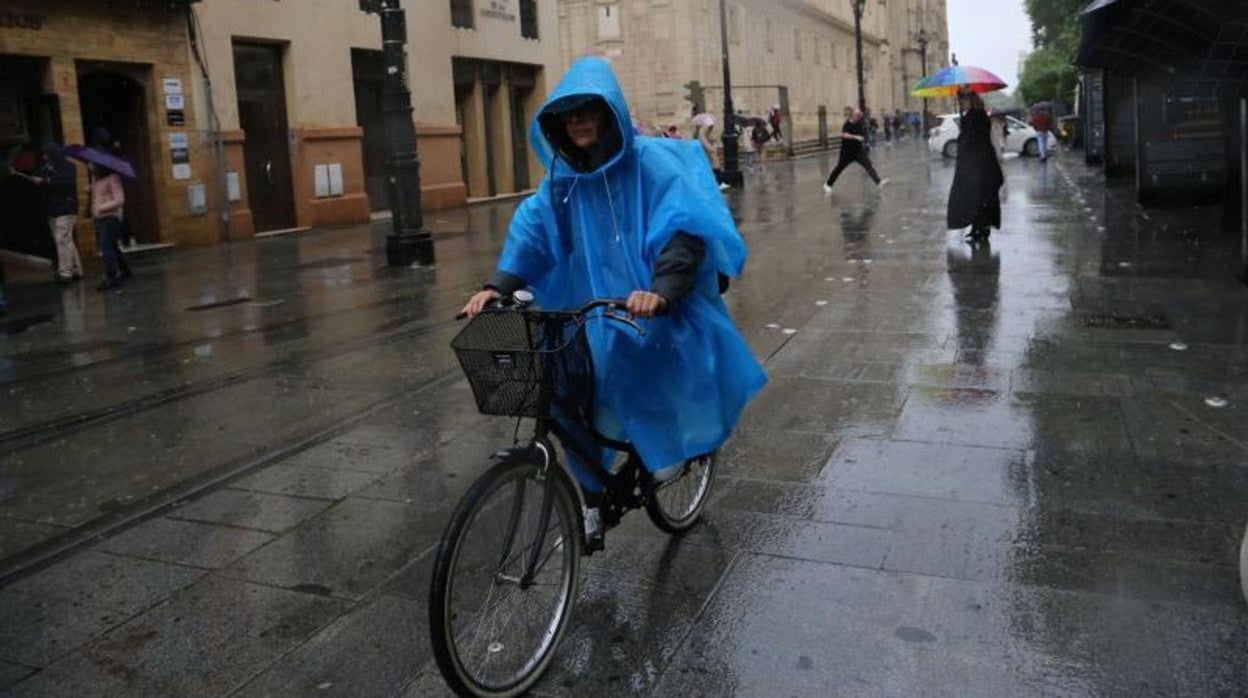 Varias personas se protegen de la lluvia en la Avenidad de la Constitución de Sevilla