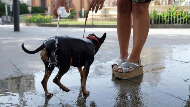 El tiempo en Sevilla: el 'verano' se queda unos días más con máximas por encima de los 30 grados