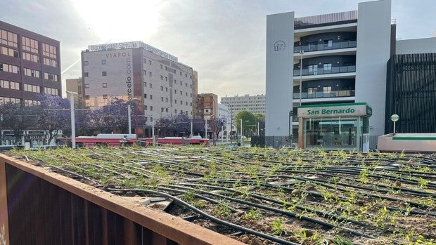 El Ayuntamiento de Sevilla incorpora vegetación en la cubierta y fachada de la biciestación de San Bernardo