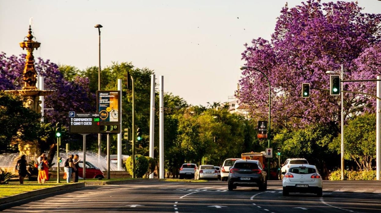 El tiempo en Sevilla seguirá con temperaturas suaves unos días más