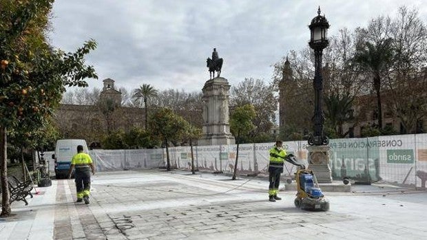 Urbanismo plantea una «reordenación» de la Plaza Nueva que afectaría a la solería, bancos y arbolado