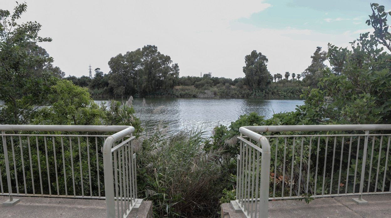 Punto donde fue arrojado el cuerpo de la víctima junto al río Guadalquivir