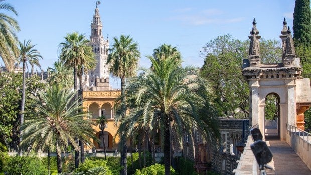 El Real Alcázar abrirá las cubiertas a los sevillanos a finales de año