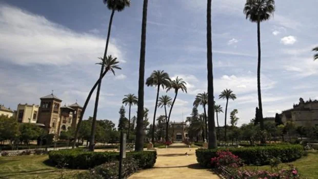 El Ayuntamiento incrementa la vigilancia en los parques de Sevilla