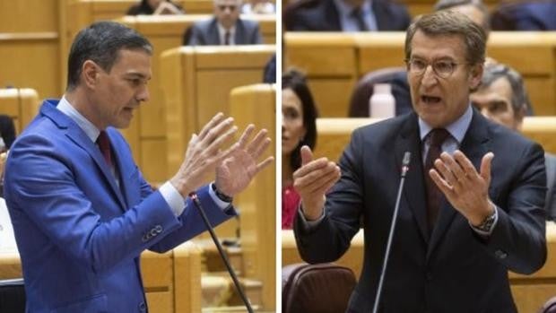 Debate entre Sánchez y Feijóo en el Senado, en directo