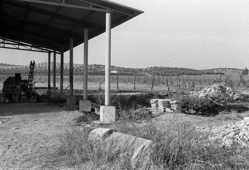 Cortijo de Los Galindos