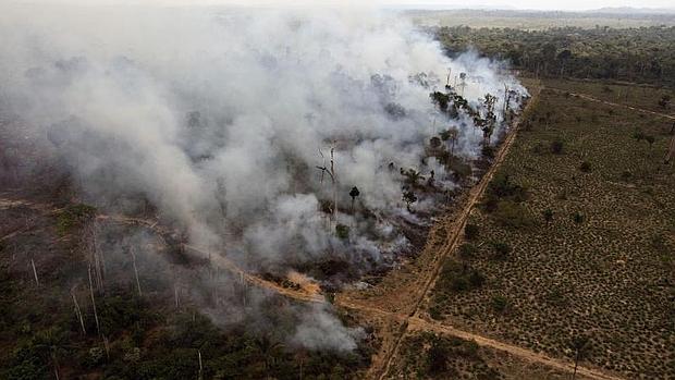 Incendio en Novo Progresso, al norte del Estado brasileño de Para.