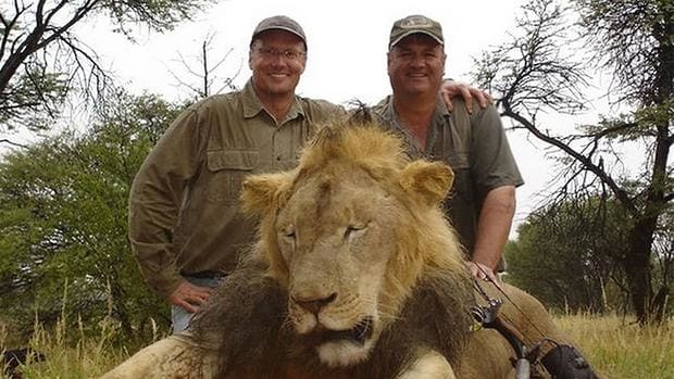El dentista junto al león Cecil