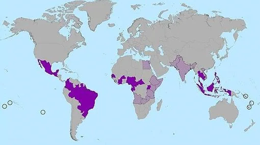 Países en los que se han detectado anticuerpos contra el zika (morado claro) o directamente al virus (morado oscuro)