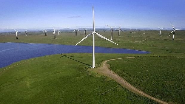 Whitelee, el mayor parque eólico del Reino Unido y el segundo de Europa, situado en Glasgow, al sur de Escocia