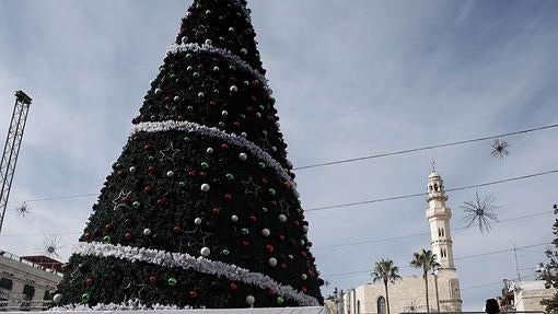 Abeto navideño en la ciudad de Belén