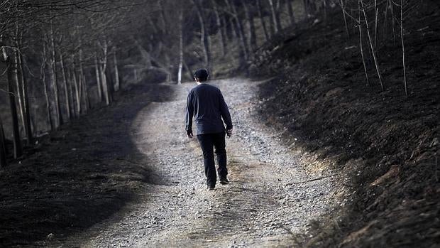 El incendio declarado este sábado en Igantzi y que tuvo su origen en la caída de un árbol sobre un tendido eléctrico, también ha afectado a zonas arboladas de monte del término de Lesaka donde un total de unas 250 hectáreas se han visto afectadas por el fuego