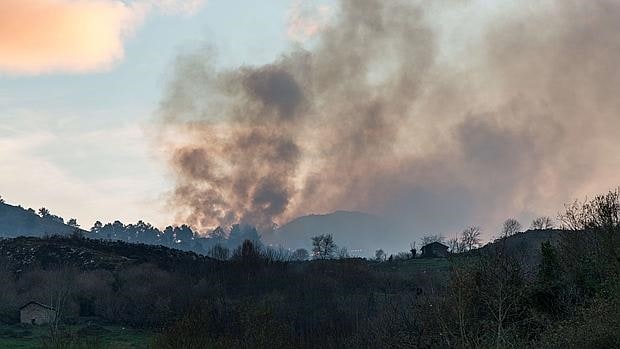 El fuerte viento ha incrementado el número de incendios forestales