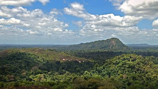 Los investigadores consideran que los bosques amazónicos proporcionan servicios ambientales de importancia global, y que por eso también hay que controlar también la caza