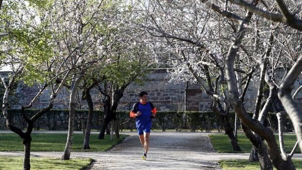 La primavera será más cálida en toda España y más seca en el Sur