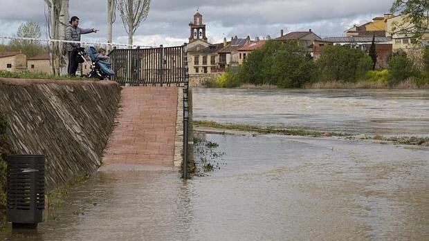 La situación del río Duero a su paso por Zamora este miércoles