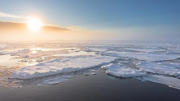 Hielo marino del Ártico