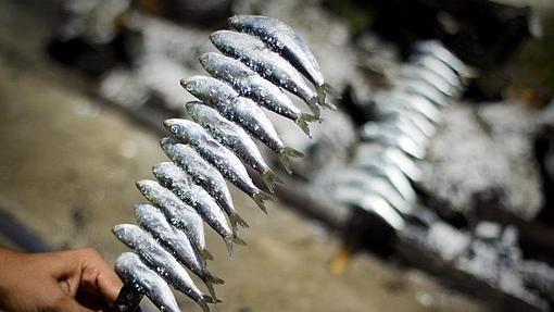 Las sardinas tienen un elevado contenido en omega-3