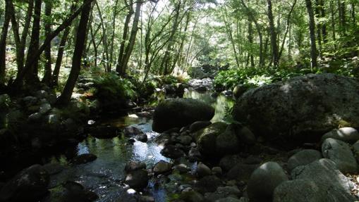 Reserva Natural Fluvial del río Francia