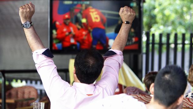 Un aficionado celebra un gol en la reciente victoria de España en la Eurocopa 2016