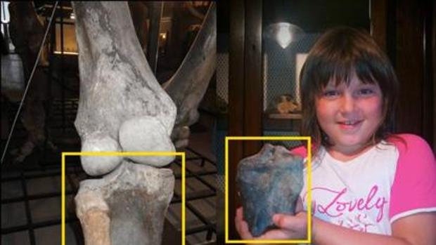 Emma, la niña paleóntologa que descubrió un hueso de mamut