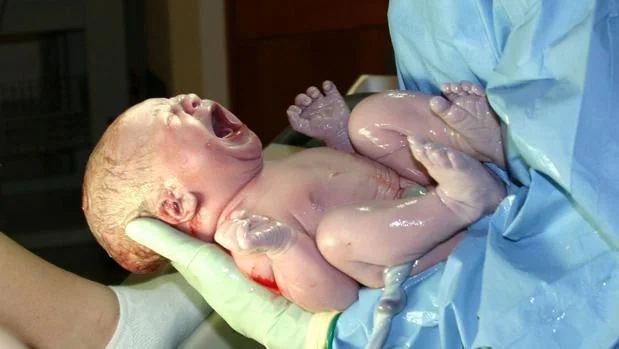 Una niña recién nacida, justo después del momento del parto