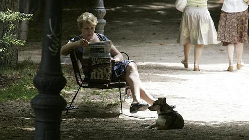 Una señora descansa junto a su perro