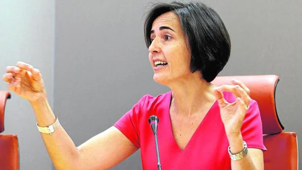 María Seguí, ex directora general de Tráfico