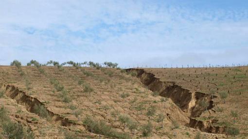 España es el país europeo con más riesgo de sufrir erosión, que alcanza el 20 % del territorio