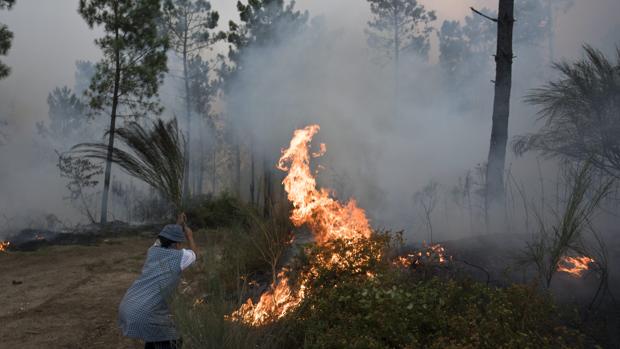 Una ciudadana intenta apagar el fuego en el Vale De Cambra, Portugal
