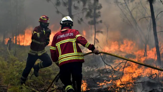 Bomberos tratan de apagar las llamas en un incendio producido en Torredeita, Viseu