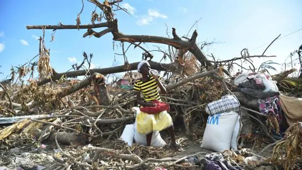 Una víctima del huracán Matthew en Haití sentada en un árbol dañado tras recibir un paquete de comida del Programa de Alimentos de la ONU