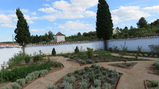 Imagen del jardín etnobotánico de Aras de los Olmos