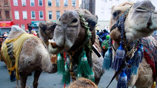 Cabalgata de Reyes Magos en el neoyorquino barrio de Harlem