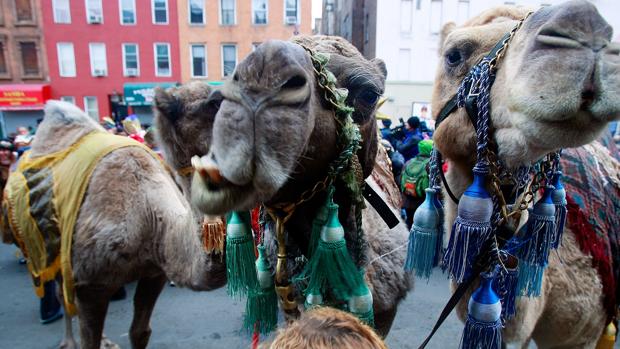 De Nueva York a Polonia, las Cabalgatas de Reyes Magos más curiosas del mundo